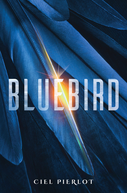 Bluebird - 9780857669667 by Ciel Pierlot, 9780857669667