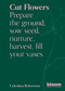 Cut Flowers (Bloom Gardener's Guide: Prepare the ground, sow seed, nurture, harvest, fill your vases) by Celestina Robertson, 9780711269958