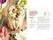 Foraging (Explore Nature's Bounty and Turn Your Foraged Finds Into Flavorful Feasts) by Mark Vorderbruggen, 9780744051445