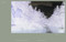 Climates. Habitats. Environments. by Ute Meta Bauer, 9780262046817