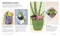 Succulents (Everything You Need to Select, Pair and Care for Succulents) by Cassidy Tuttle, 9780744051452