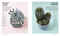 Succulents (Everything You Need to Select, Pair and Care for Succulents) by Cassidy Tuttle, 9780744051452
