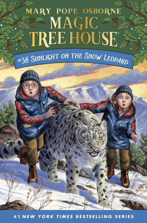 Sunlight on the Snow Leopard by Mary Pope Osborne, AG Ford, 9780593177501