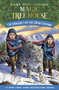 Sunlight on the Snow Leopard by Mary Pope Osborne, AG Ford, 9780593177501