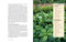 No-Dig Gardening (Raised Beds, Layered Gardens, and Other No-Till Techniques) by Bella Linde, Lena Granefelt, 9781510769045