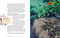 No-Dig Gardening (Raised Beds, Layered Gardens, and Other No-Till Techniques) by Bella Linde, Lena Granefelt, 9781510769045