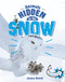 Animals Hidden in the Snow by Jessica Rusick, 9781666328301
