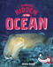 Animals Hidden in the Ocean by Jessica Rusick, 9781666318166