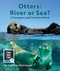 Otters: River or Sea? A Compare and Contrast Book by Cathleen McConnell, 9781643519784
