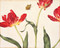 Botanicals QuickNotes by teNeues Publishers, 9781623255145