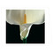 Mapplethorpe Flowers QuickNotes by The Robert Mapplethorpe Foundation, 9781933427034