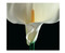 Mapplethorpe Flowers QuickNotes by The Robert Mapplethorpe Foundation, 9781933427034