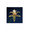 Mapplethorpe Flowers Notecard Box by The Robert Mapplethorpe Foundation, 9781933427041
