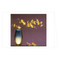 Mapplethorpe Flowers Notecard Box by The Robert Mapplethorpe Foundation, 9781933427041