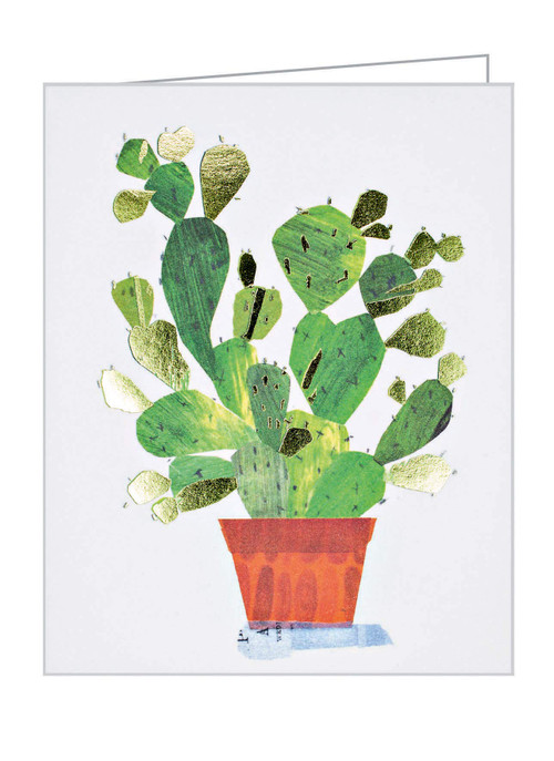 Cactus Notecard Set by Maria Carluccio, 9781623257910