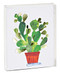 teNeues - Notecard Set: Cactus Illustration, Blank Inside, 10 Full Color Notecards with 10 Envelopes, Clear Box, Green Foil Accent by teNeues, 9781623257910