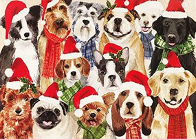 Deck the Dogs Deluxe Boxed Holiday Cards, 9781441339195
