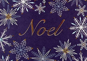 Golden Noel Deluxe Boxed Holiday Cards, 9781441339201