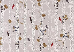 Birds in White Birches Deluxe Boxed Holiday Cards, 9781441339249