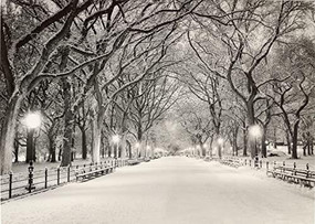 Lights of the Season Deluxe Boxed Holiday Cards, 9781441339102