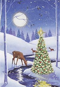 Tranquil Stream Small Boxed Holiday Cards, 9781441339263