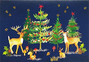 Woodland Wonder Small Boxed Holiday Cards, 9781441339317