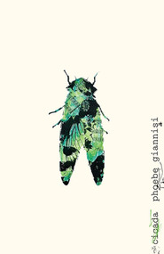 Cicada - 9780811230230 by Phoebe Giannisi, Brian Sneeden, 9780811230230