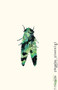 Cicada - 9780811230230 by Phoebe Giannisi, Brian Sneeden, 9780811230230