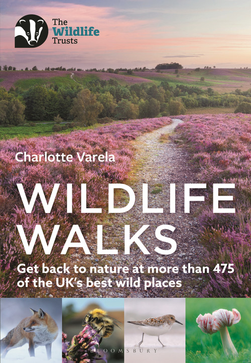 Wildlife Walks (Get back to nature at more than 475 of the UK's best wild places) by Charlotte Varela, 9781472986863