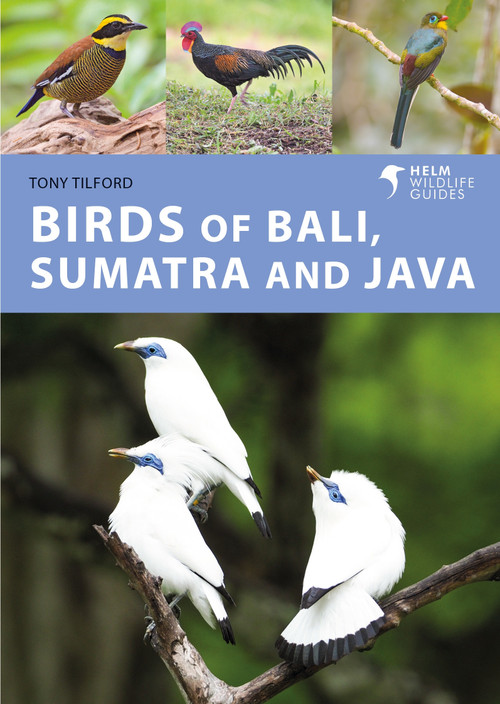 Birds of Bali, Sumatra and Java by Tony Tilford, 9781472986870