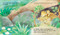 Find Out About Animal Babies by Martin Jenkins, Jane McGuinness, 9781536220469