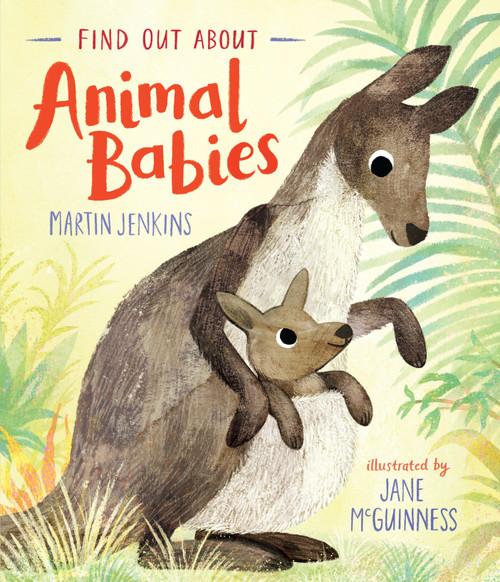 Find Out About Animal Babies by Martin Jenkins, Jane McGuinness, 9781536220469