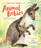 Find Out About Animal Babies by Martin Jenkins, Jane McGuinness, 9781536220469