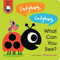 Ladybug, Ladybug, What Can You See? by Amelia Hepworth, Pintachan, 9780593427248