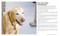 How to Train Your Dog (A Relationship-Based Approach for a Well-Behaved Dog) by Liz Palika, Kate Abbott, 9780744051469