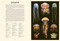 Oceanarium (Welcome to the Museum) by Loveday Trinick, Teagan White, 9781536223811