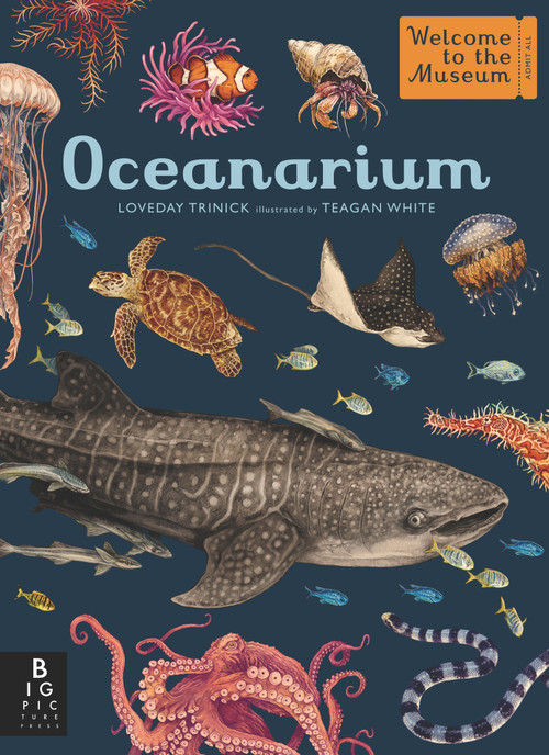 Oceanarium (Welcome to the Museum) by Loveday Trinick, Teagan White, 9781536223811