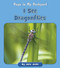 I See Dragonflies by Julia Jaske, 9781534198852
