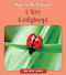 I See Ladybugs by Julia Jaske, 9781534198845