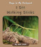 I See Walking Sticks by Julia Jaske, 9781534198876
