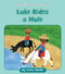 Luke Rides a Mule by Cecilia Minden, Tina Finn, 9781534196872