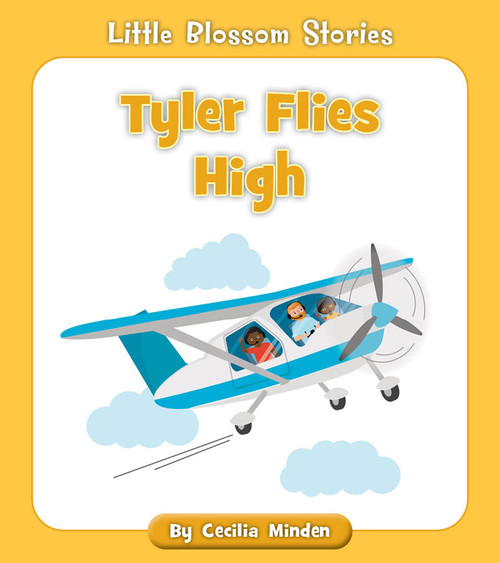 Tyler Flies High by Cecilia Minden, Rachael McLean, 9781534198739