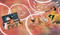 Listen (How Evelyn Glennie, a Deaf Girl, Changed Percussion) by Shannon Stocker, Devon Holzwarth, 9780593109694
