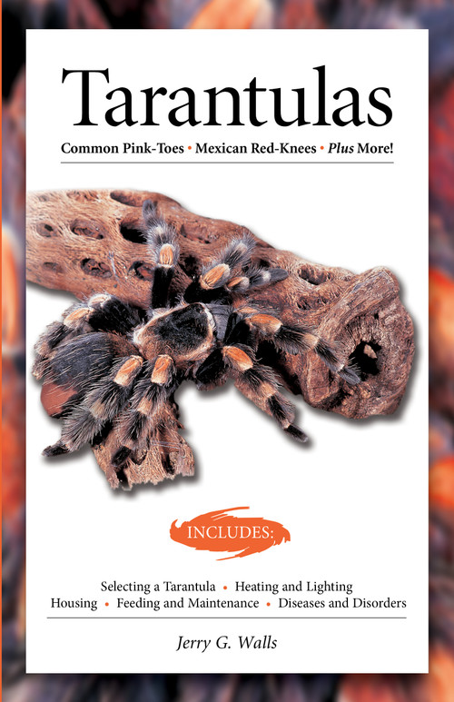 Tarantulas (Advanced Vivarium Systems) by Jerry G. Walls, 9781620082706