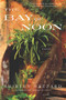 The Bay of Noon (A Novel) by Shirley Hazzard, Shirley Hazzard Steegmuller, The Estate of Shirley Hazzard Steegmuller, 9780312422875