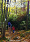 Appalachian Trail Data Book 2022 by Daniel Chazin, 9781944958299