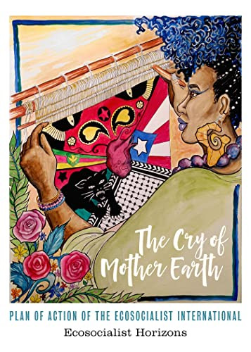 The Cry of Mother Earth (Plan of Action of the Ecosocialist International) by Ecosocialist Horizons, 9781629639369