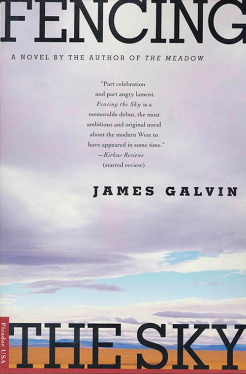 Fencing the Sky (A Novel) by James Galvin, 9780312267346