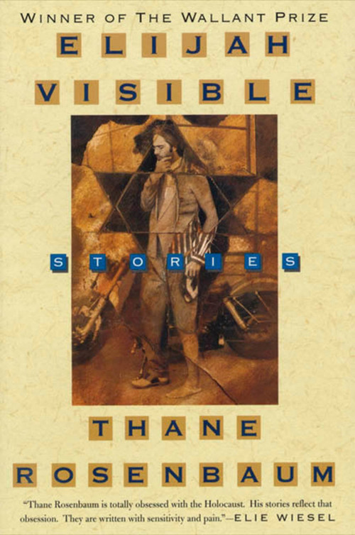 Elijah Visible (Stories) by Thane Rosenbaum, 9780312198657