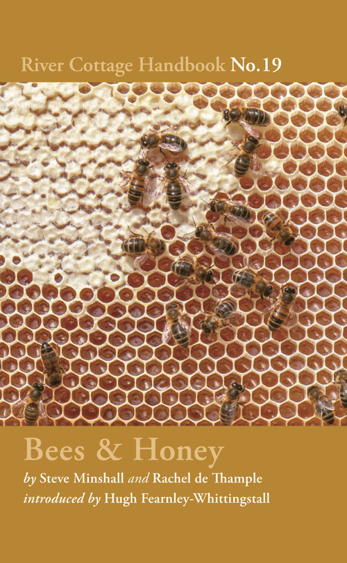 Bees & Honey (River Cottage Handbook No.19) by Rachel de Thample, 9781408873557